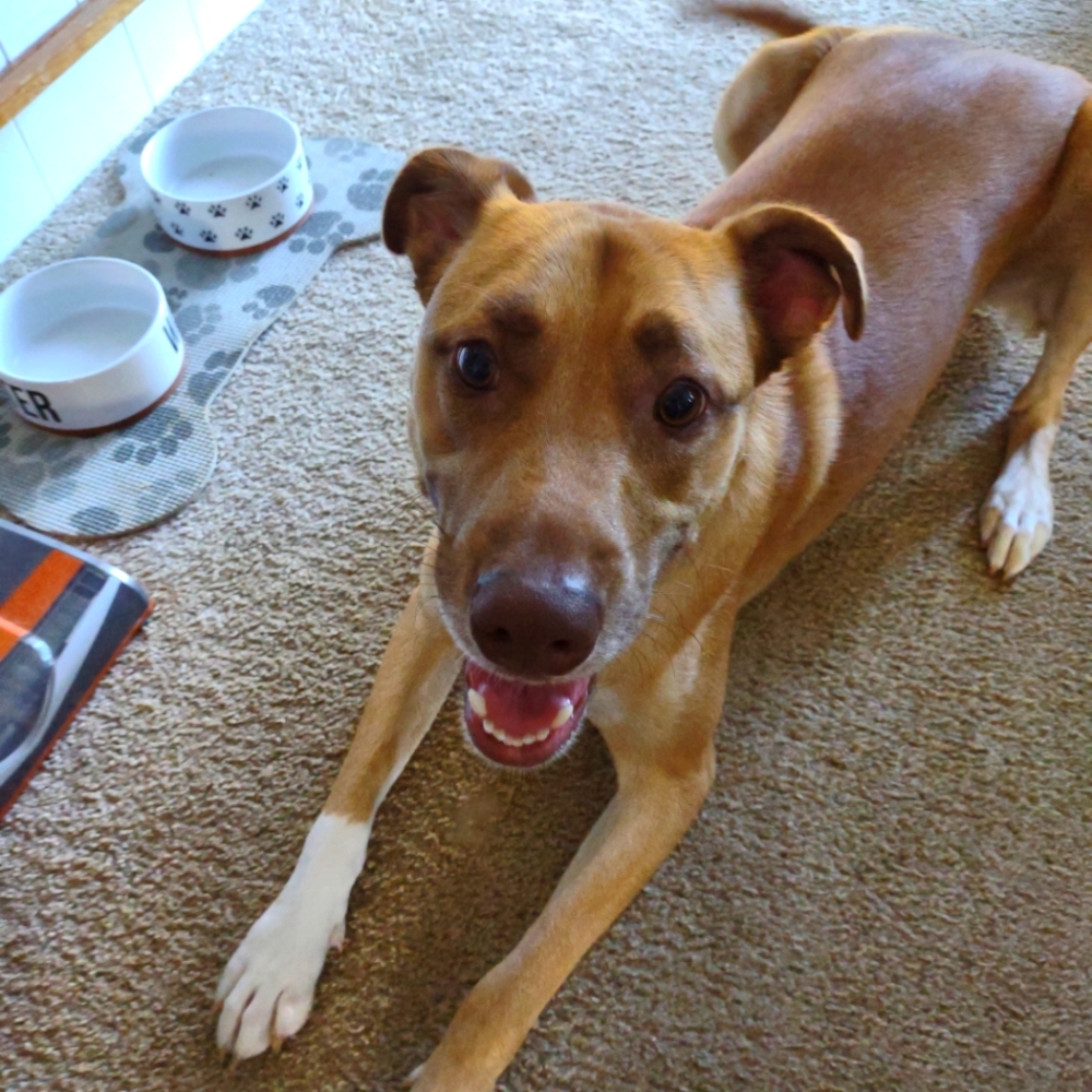 Meet your Posher, Wendy